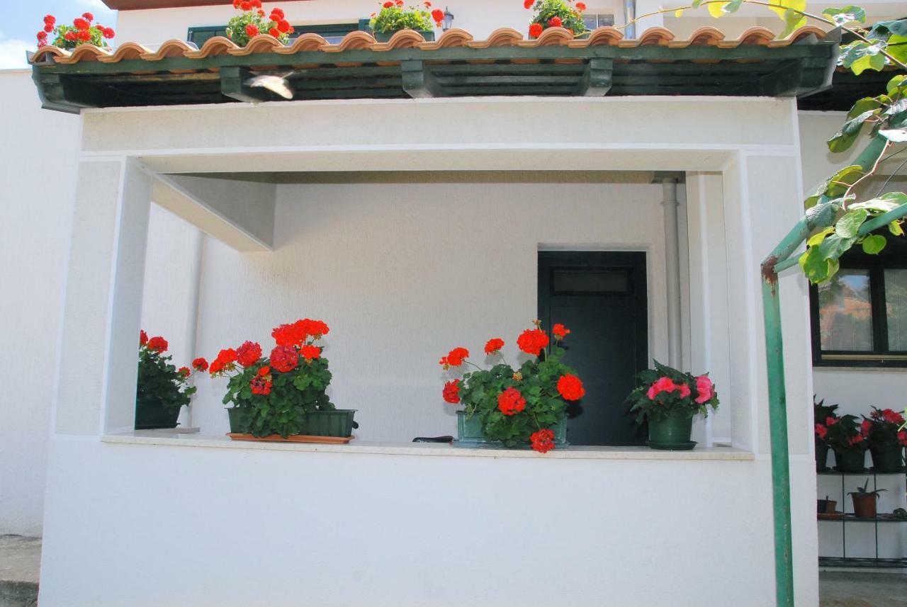 Apartmani Bauk Poreč Exterior foto