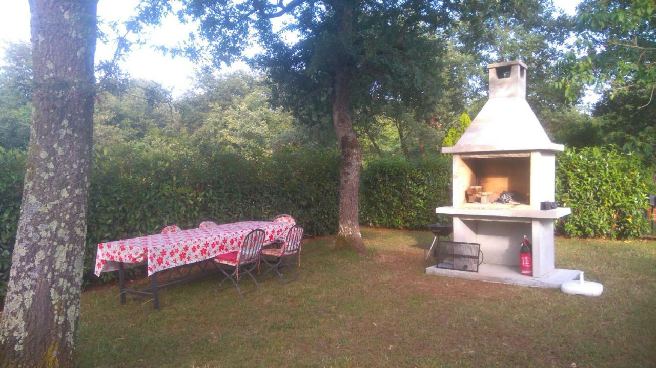 Apartmani Bauk Poreč Exterior foto